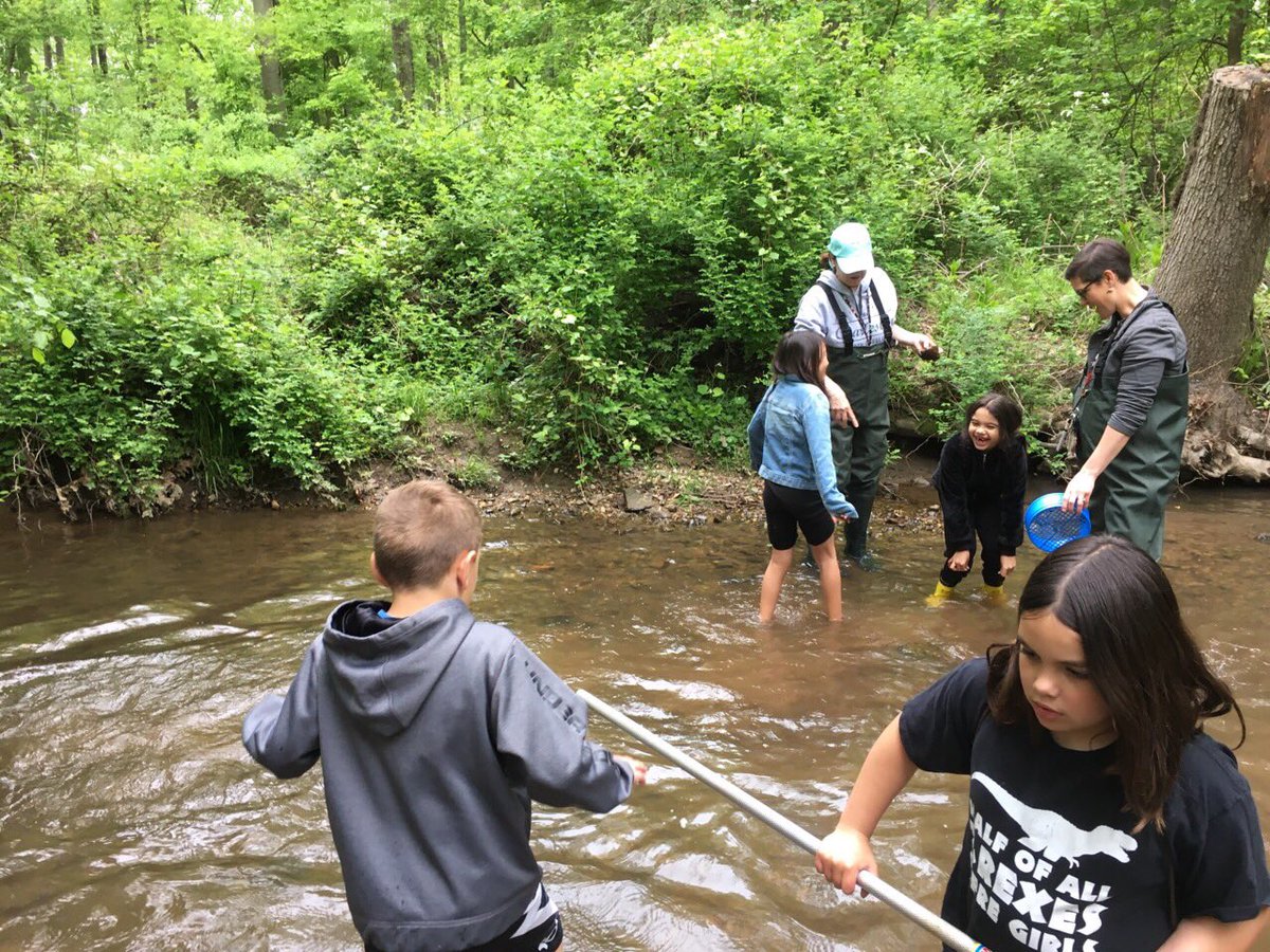 Elizabeth Seipp tweet media