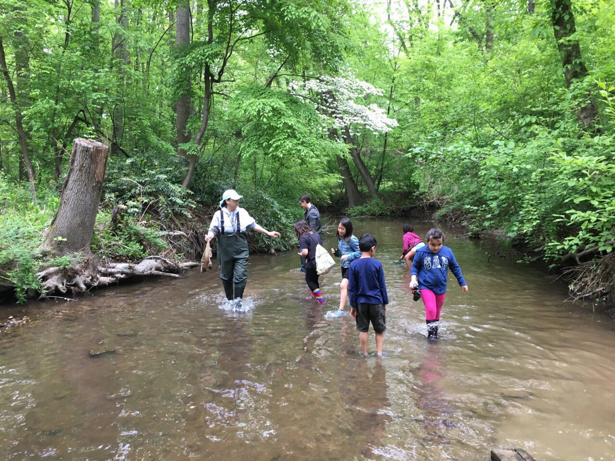 Elizabeth Seipp tweet media