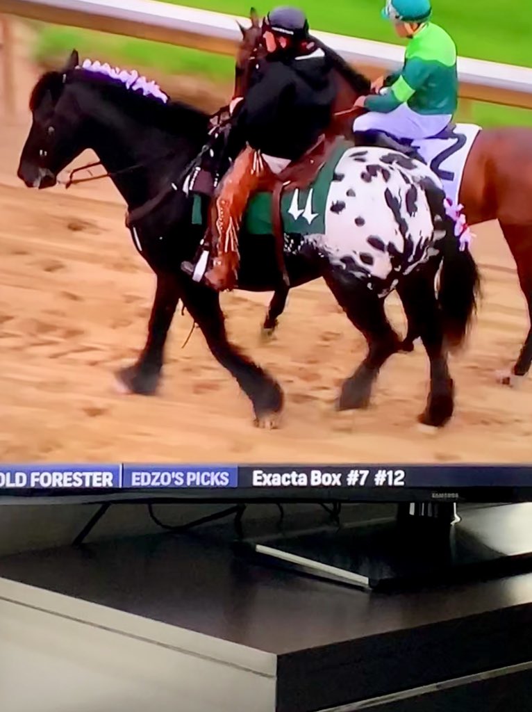 SuzanneLewis115's tweet photo. This horseโs mother is a COW! ๐#CowButt #KentuckyDerby2019 #DerbyDay2019 https://t.co/bNwFJKGeyU