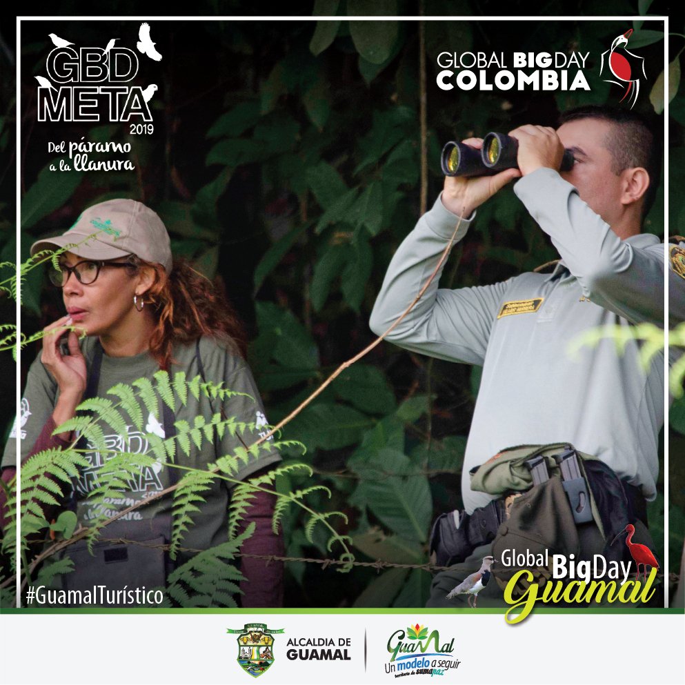 AlcaldiaGuamalM's tweet photo. Así participamos por primera vez del #GlobalBigDay en #Guamal
#GuamalUnModeloASeguir #GuamalTurístico #GuamalTerritorioDeSumapaz #GlobalBigDay2019 #DelParamoALaLlanura #GBD #GBDMeta #Aves #AvistamientoDeAves #AviTurismo #Naturaleza #Bird #Birding #avesmeta #SomosLaRutaNatural https://t.co/EDWXktAVRd