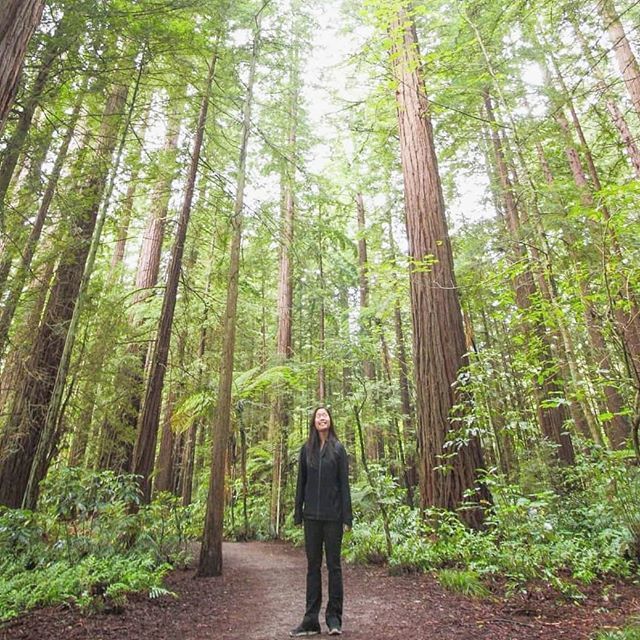 Hey everyone! ♥️ Remember me? I know, it's been a minute. I've missed all of you!  A lot of fun stuff has been going on since I've last posted - I went to New Zealand, Philly and LA, ate tons of delicious food (are you really surprised?), got lots of snuggles from @tobythesh…