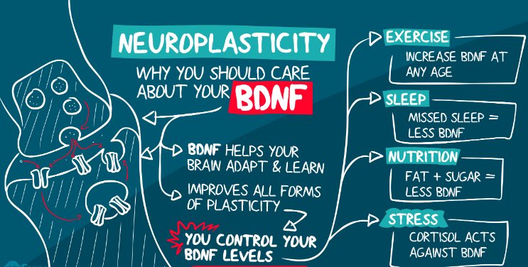 Should картинка. Should care. Pod lifecycle. гаджеты инфографика. Careless quote.