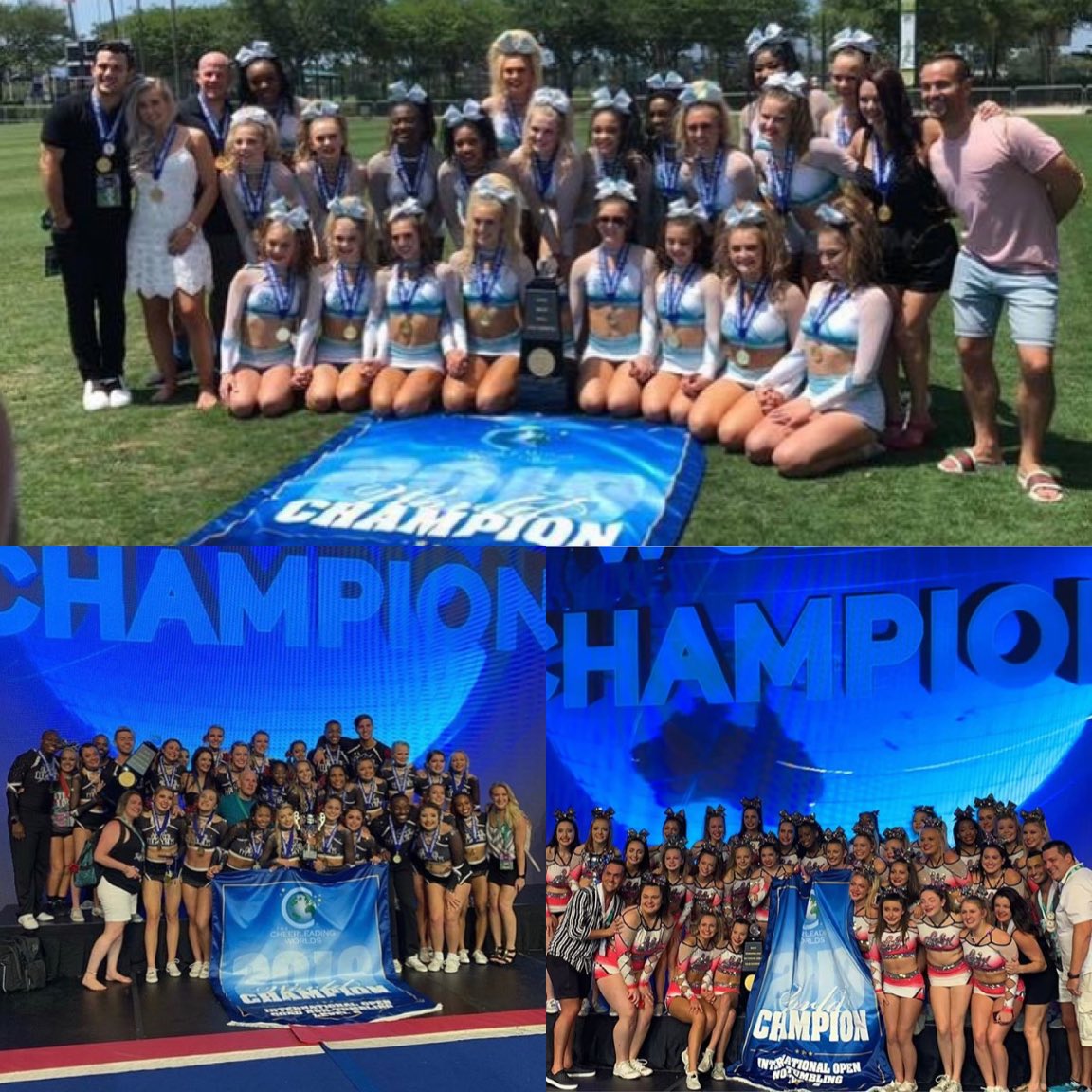 Charlotte Allstars Teal (Charlotte_Teal) / Twitter