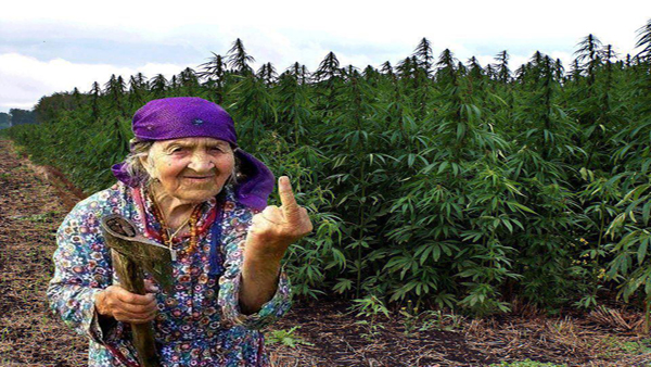 Granny с русским матом. Бабушка показывает. Средний палец бабушки.
