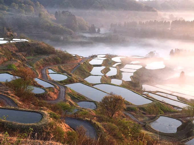 事故 星峠の棚田を撮影しようと乗用車が転落 男性死亡 新潟県十日町市 まとめダネ