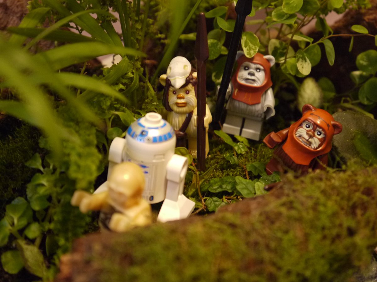 andyklsun's tweet photo. May the 4th dish garden with LEGO  https://t.co/Sz8wI5MRUs via @YouTube by Sayeh Sun Studio.
#MayTheFourthBeWithYou #MayThe4thBeWithYou #StarWarsDay2019 #StarWarsDay #StarWars #LEGOStarWars #LEGO @SpaceChannel https://t.co/K94bsJRakq