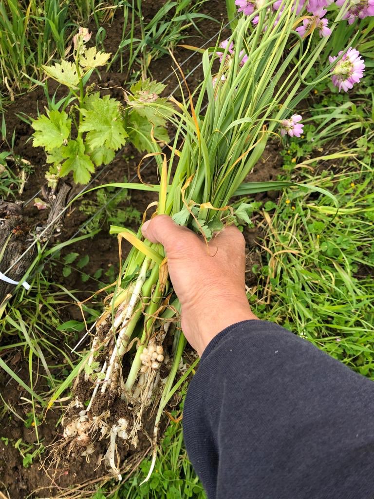 Clos Monicord On Twitter Pas Besoin De Faire Ses Courses Pour