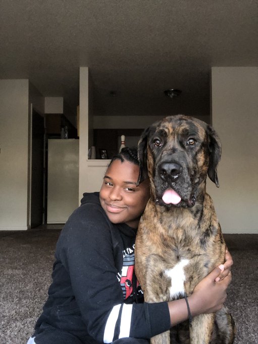 HBK’s pics and videos