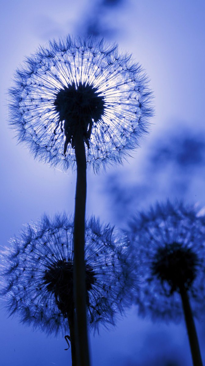 💕💙❤️👼🏻🐯❤️💙💕
Good morning‼︎
お天気最高ですね。素敵な休日を過ごしてくださいねっ❤️