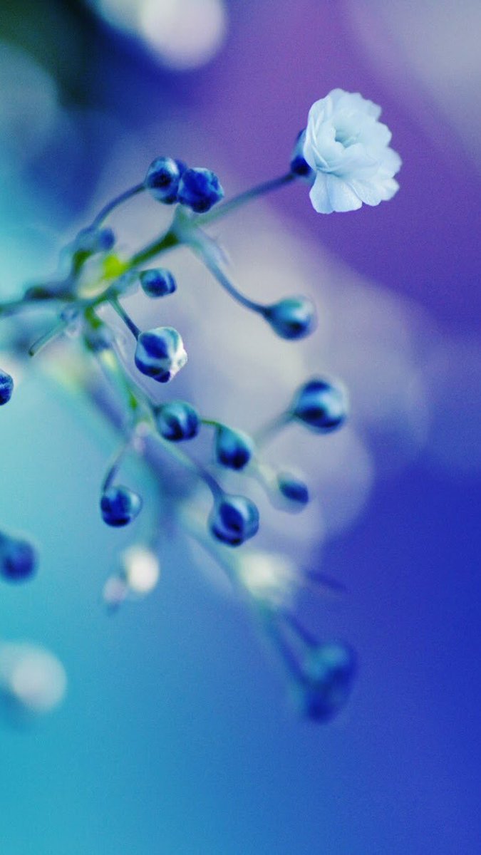 💕💚💞👼🏻🐯💞💚💕