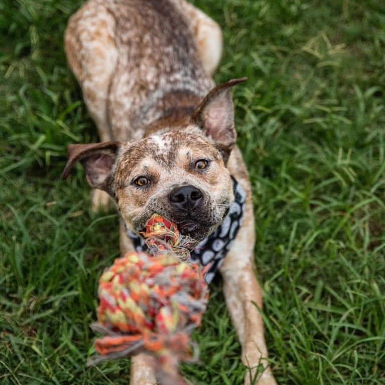 Baby Dave turns One next week. He is searching for a loving and kind family. 
Dave is a gentle boy who lacks confidence. Dave has learnt to play with toys, swim and is gradually coming out of his shell.
Love this boy