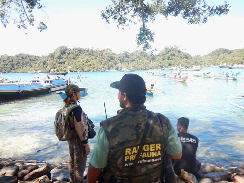 ProFauna's tweet image. Sejak kemarin hingga hari ini Ranger PROFAUNA berada di pantai Sendangbiru, Kab. Malang untuk membantu BBKSDA Jatim mengawasi wisatawan agar tidak masuk ke dalam Cagar Alam Pulau Sempu. Cagar alam memang peruntukannya bukan untuk wisata. #RangerProfauna #SaveSempu @bbksdajatim