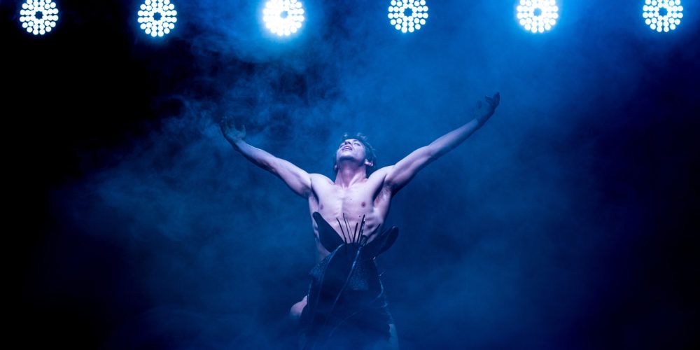 dailymaverick's tweet image. THEATRE REVIEW: Hopkins and Ruygrok brilliantly handle absorbing ‘Equus’ buff.ly/2PLEdfa By Lesley Stones