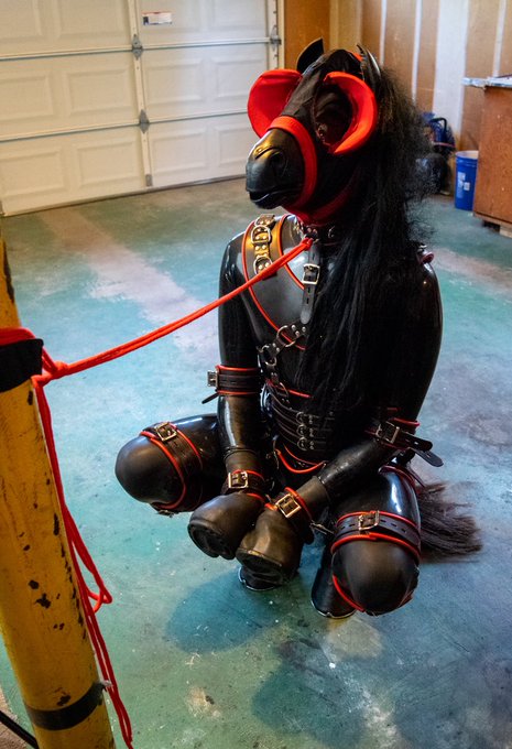 2 pic. I was supposed to race in the Derby today, but instead I found myself kidnapped, bound, and gagged