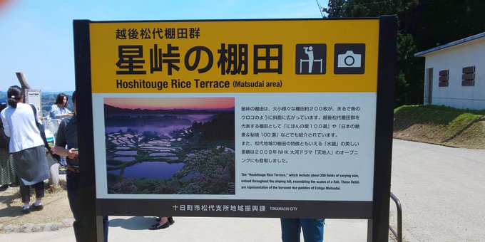 事故 星峠の棚田を撮影しようと乗用車が転落 男性死亡 新潟県十日町市 まとめダネ