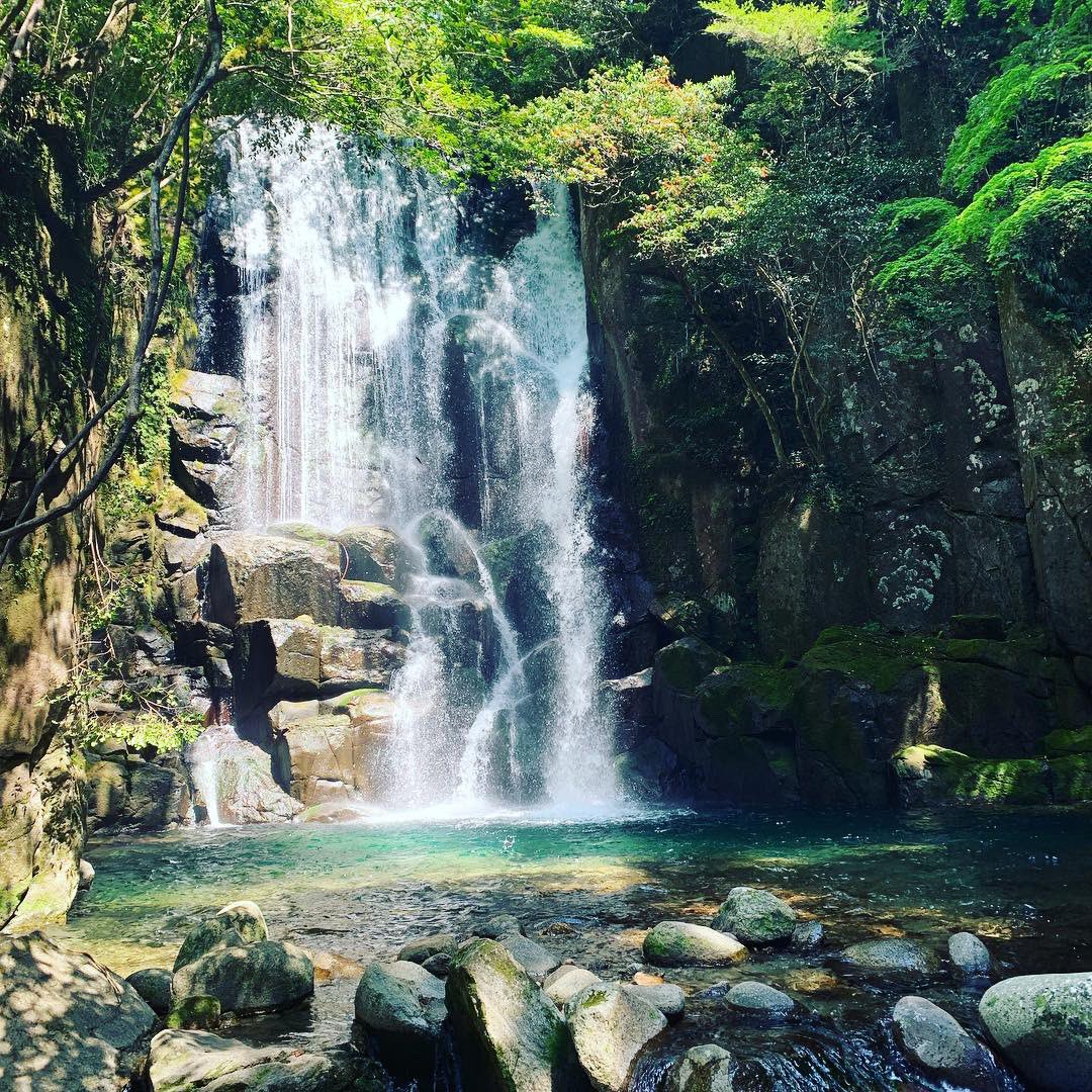 桑の木の滝