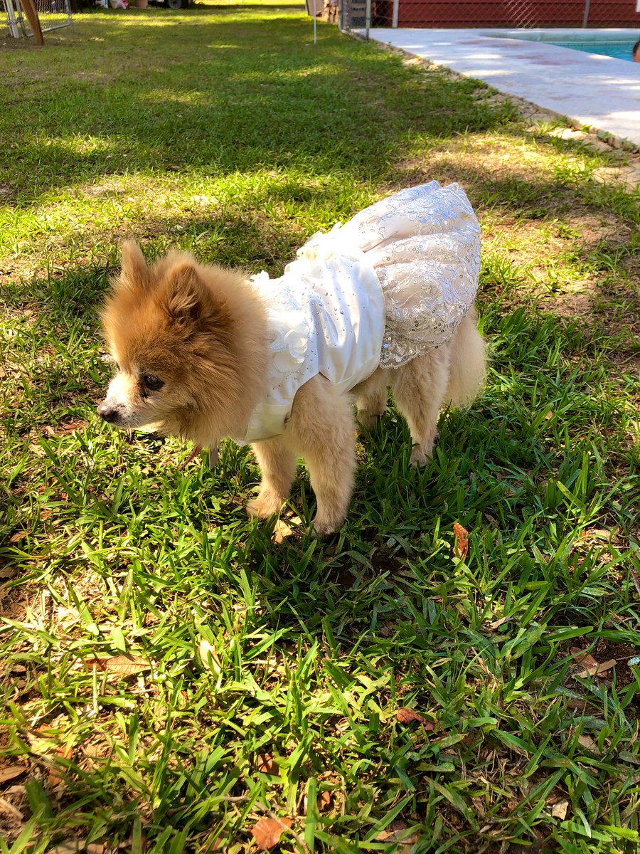 TammySchwark's tweet image. Beautiful wedding today of a wonderful coworker/amazing friend in Georgia... 💗

#workcanwait #perspective