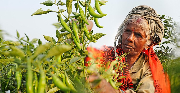 KnowBuzz's tweet image. Two farmers focussing on two totally different topics 
Two Worlds
share.rocks/two-worlds
#sponsored
