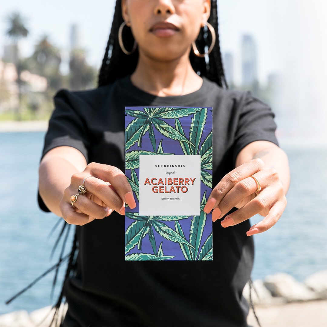 sherbinski415's tweet image. While selecting keepers, what would become #AcaiBerryGelato stood out to me due to her physical appearance, best characterized by her dark purple(almost black) hues. Paired with aroma &amp;amp; trichome production, I knew #Gelato49 was a keeper. Available now at SHERBINSKIS.com/shop🍊