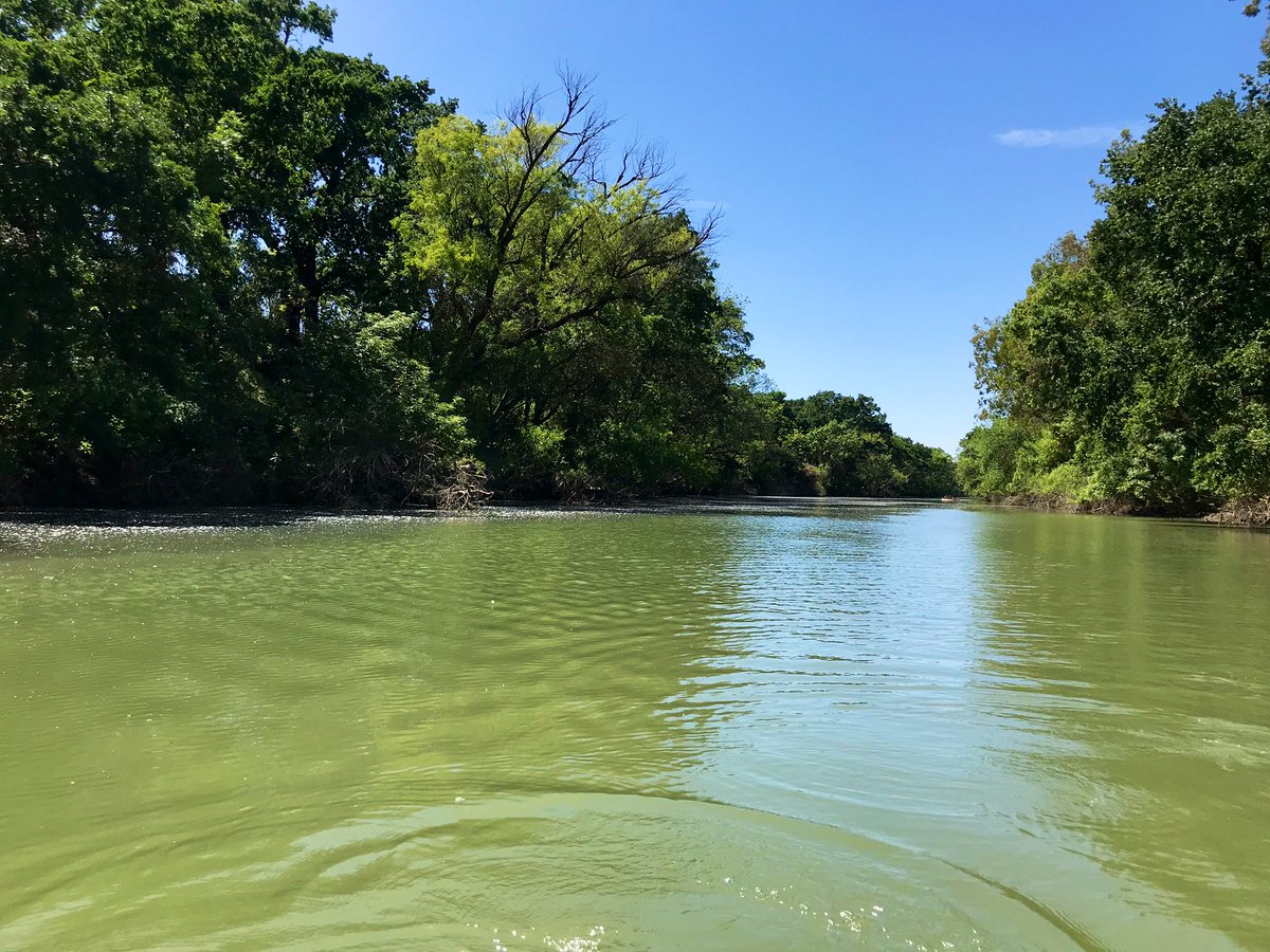 caparisek's tweet photo. Absolute best way to celebrate a birthday: canoeing all day on #putahcreek!

Spent the day introducing rotating groups from the #WFC100 Field Methods class to passive sampling techniques like #gillnets, #clovertraps, and #minnowtraps. They also got to try electrofishing &amp; seining https://t.co/XylJ8N7En9