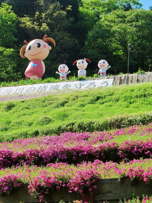 関西の芝桜の名所スポット5つ 見頃の時期やアクセスを詳しく紹介