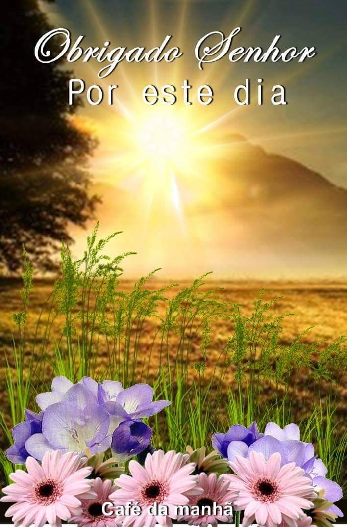 Lua 🇧🇷💚💛 on Twitter: Lua 🇧🇷💚💛 on Twitter:
