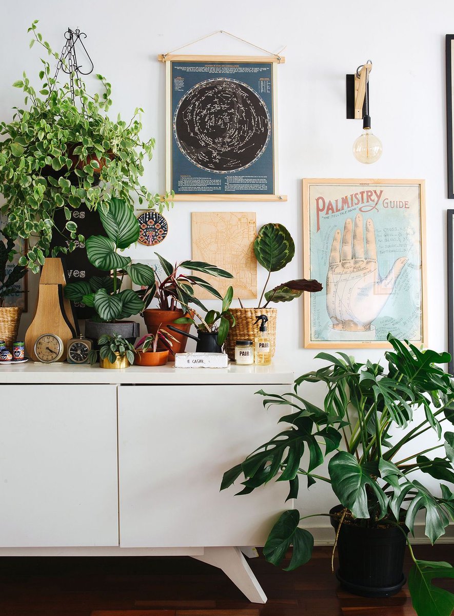 Vous aimez voir vos plantes grandir et s'épanouir ? On vous donne tous nos conseils de base pour les chouchouter comme il se doit ! 😃🌴🌿 photo : historias de casa
ow.ly/LrWc50rs6C9