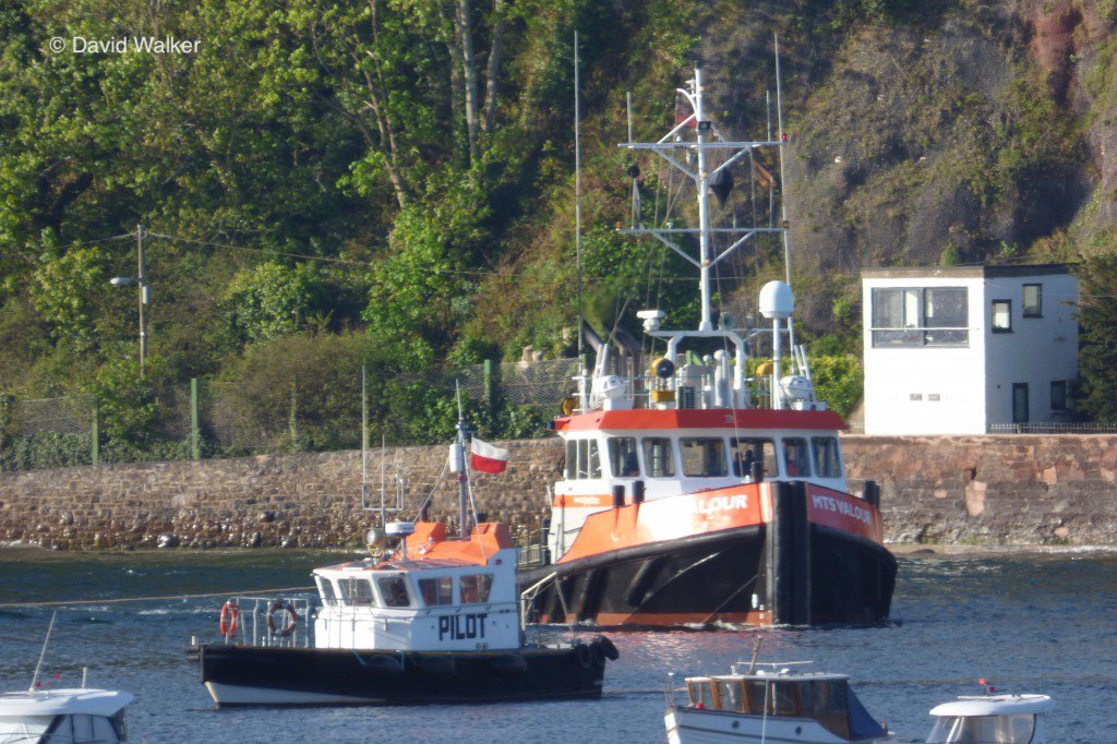 David Walker tweet media