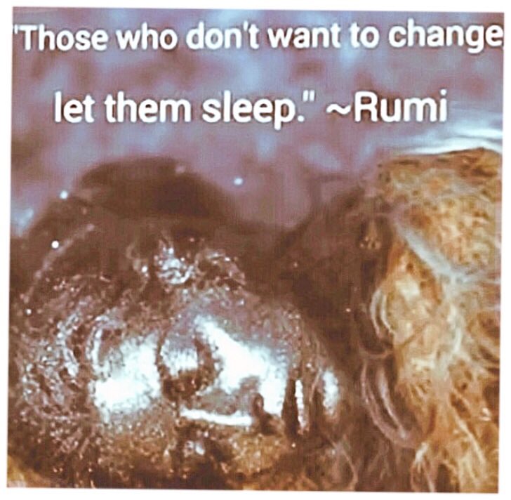 JoDennis_Hypno's tweet photo. Why not relax and go with the flow of life. People will wake up when they are ready 💕🧚♂️🙏
#flow #wakeup #lightworkers #rumiquotes #matrix #breakfree #ireleasemyself #lifeflow #crystalhealing #meditation #tribe ##lightmind #joannarose #mindhealing #mindcoach https://t.co/2imnXrwqCw