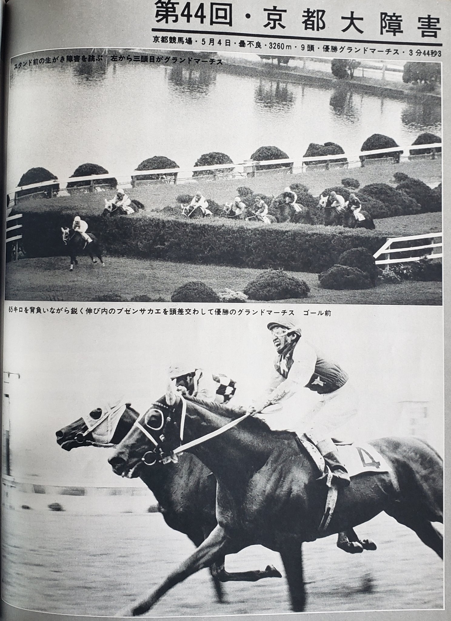 ビッグワン on Twitter 