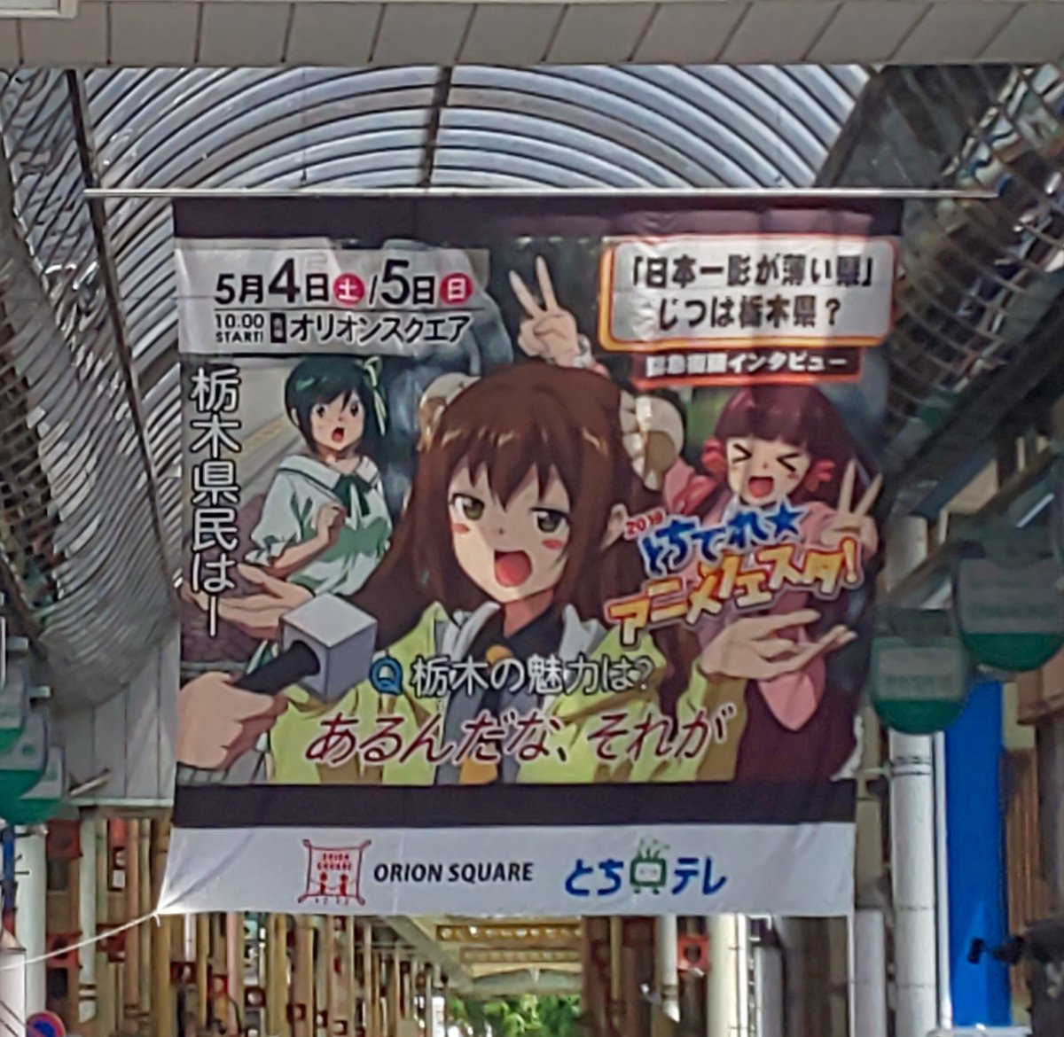 設楽麻美