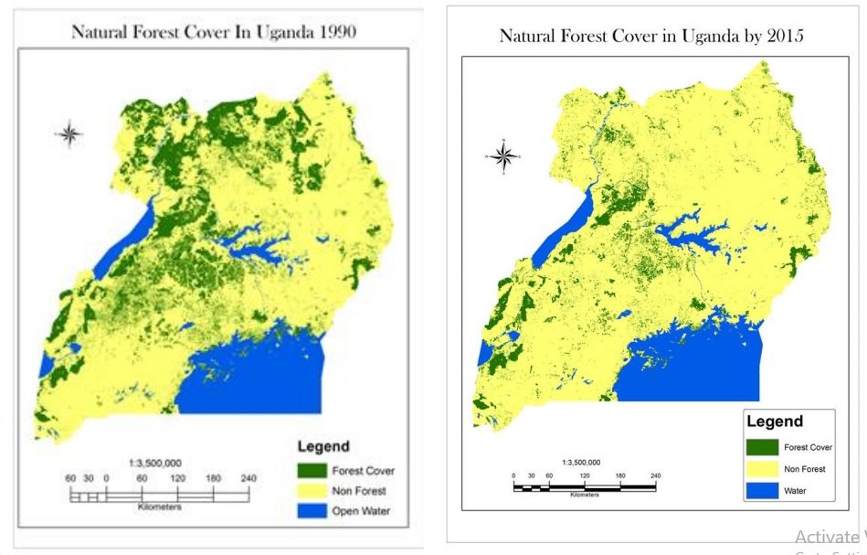 StKyamutetera's tweet photo. @KabiriStella @tmsruge Similar catastrophe for Uganda's forests. Our forest cover down to 8% from 24% in 20 years! 2,976,607 hectares gone. All gone! But someone is stupid enough to want to give away 22 sqm of Bugoma Forest for Sugar Cane growing! Aren't we a special kind of Stupid? #SaveBugomaForest https://t.co/sxanNdddir