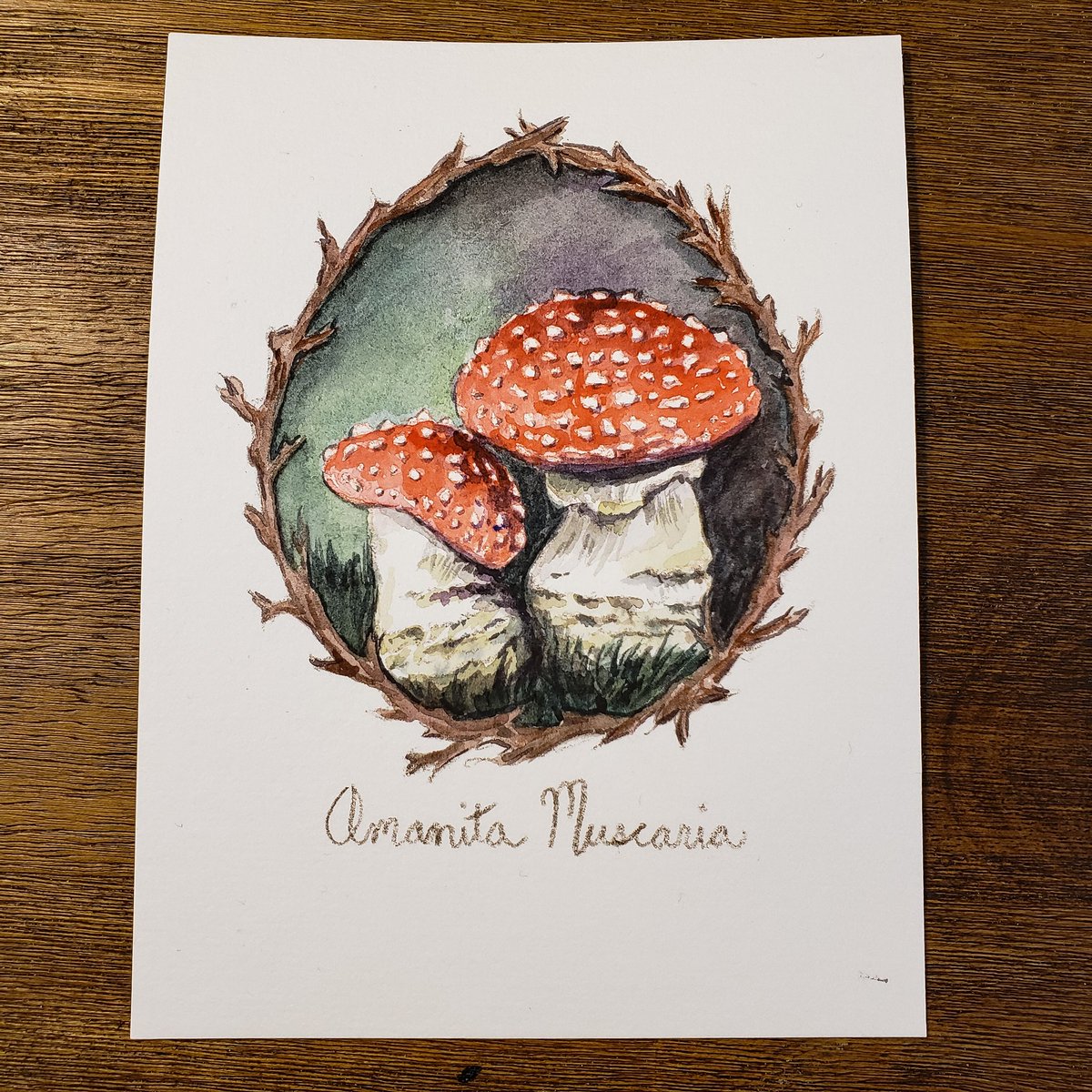 Here is #mayshroom day 4, today's prompt was the Amanita Muscaria also known as the Fly Agaric.
.
#earthmagic #fungi #fungus #watercolorartist #watercolor #mushrooms #mushroom #forager #mushroomsociety  #mycology #mycologysociety #redmushroom #amantiamuscaria #flyagaric #amantia