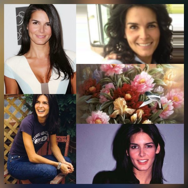 <a href="/Taina47/">Evelyn Rivera she/her/ella</a> <a href="/Angie_Harmon/">Angie Harmon</a> <a href="/vbbneighbor/">Christina B.</a> @AngieHInspirat1 @admirable_angie <a href="/YvonneMarti2/">YvonneMarti</a> <a href="/doris1530/">Doris Guti</a> <a href="/SandraH26798289/">sandra</a> <a href="/jalberg8/">James</a> @LulabelleHo <a href="/Val7114/">Marinella</a> <a href="/teamaharmon/">Team Angie</a> <a href="/andypandy184/">Andy Pandy B.</a> Happy Sunday Evelyn  #AngieHarmon  and nice day for all