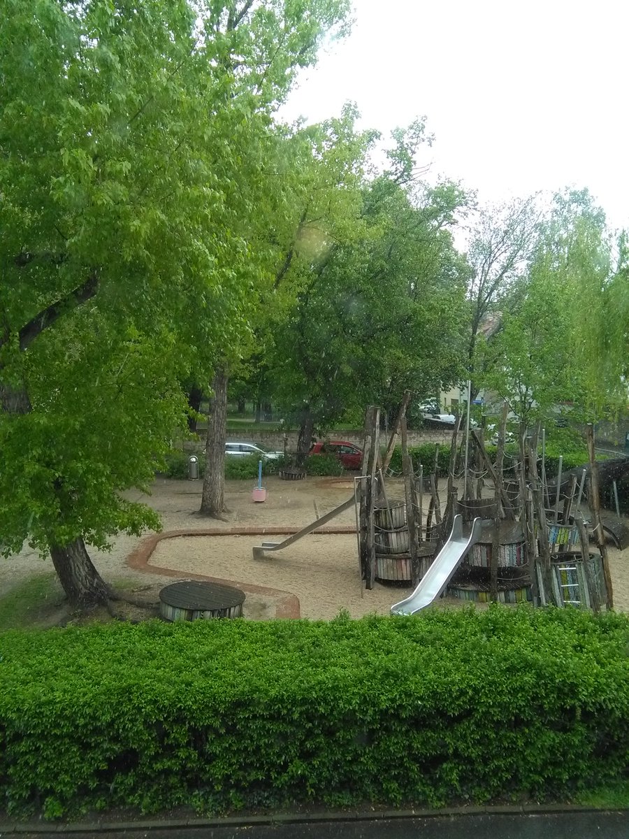 Es grünt so grün... 

Einen wunderschönen guten Morgen und einen schönen Sonntag für euch! 🙋