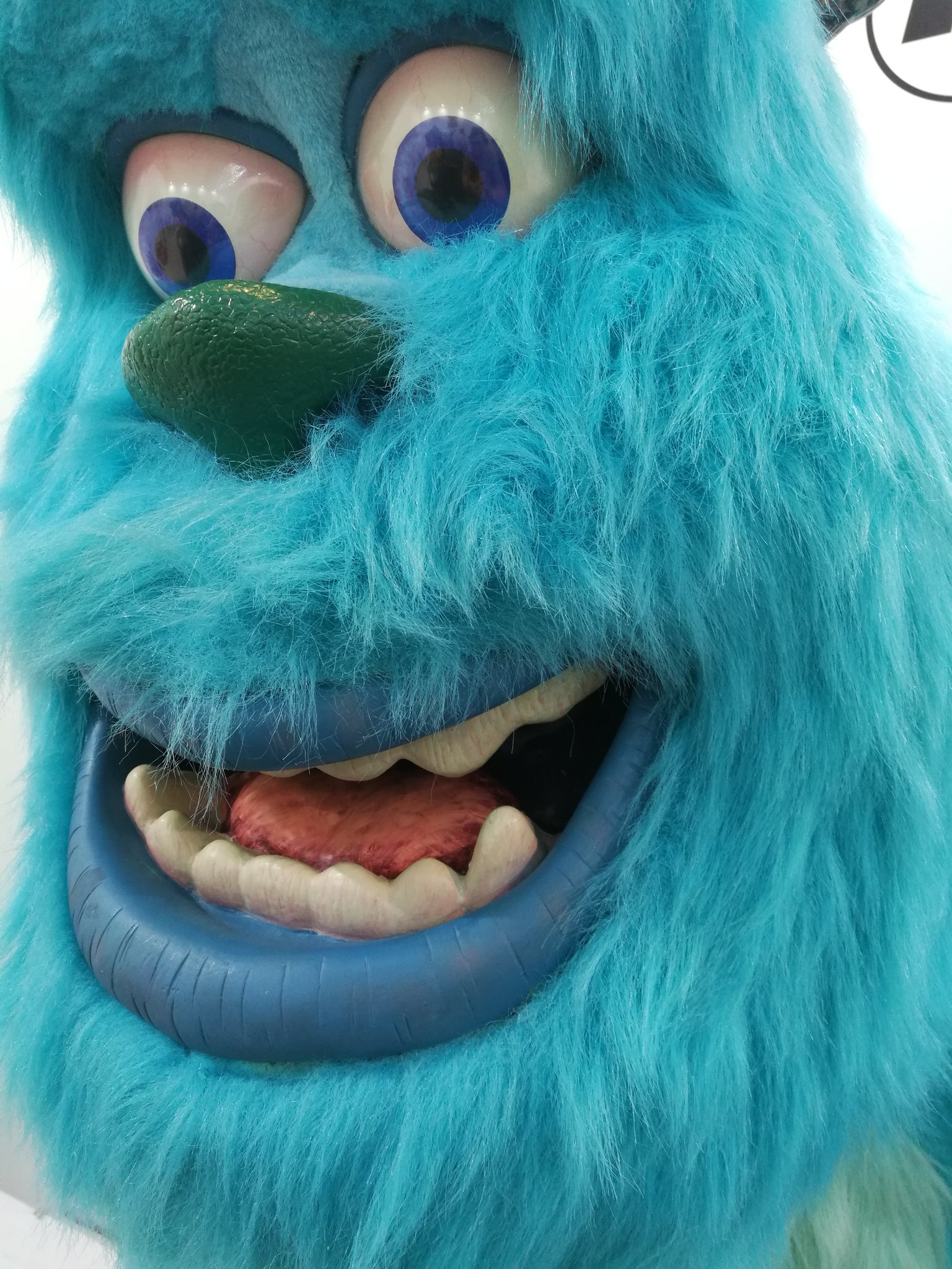 そむ 青いムックいた