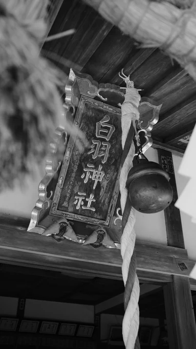 休暇を利用して中国、四国、東海地方へのロケハンに行ってきました。行動ルートの近くに白羽神社がありましたので令和の記念に参拝。新時代もイノグレらしさを貫きたいと思います。 
