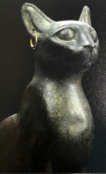 momotarou@museum_in_mt. tweet media