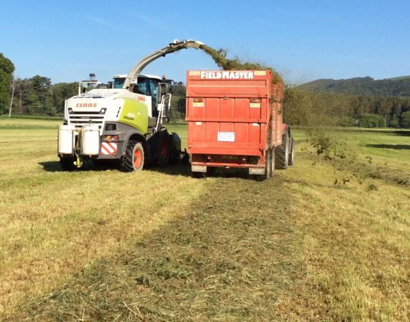 SMARTsilage tweet media