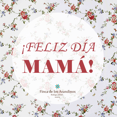 Gracias por todas las horas sin dormir. Por cuidarme, quererme y mimarme.
Gracias mamá
#diadelamadre #graciasmama