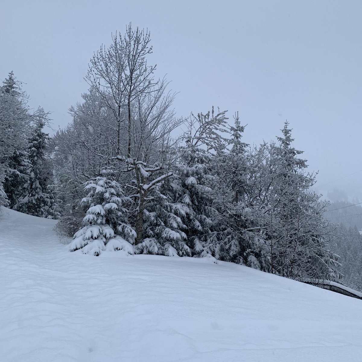 saeckelmeister's tweet photo. Schnee ❄️ ⛄️ im Frühling auf der #mullern. 🇨🇭🏔. Unsere Gäste aus den 🇳🇱 #niederlande @cadanssynchro viel Erfolg beim #synchronschwimmen #glarnerland #mountains #berge #schnee #snow #winter #cantonofglarus #glarus #switzerland #swissmountains https://t.co/TIb6yN0kyo