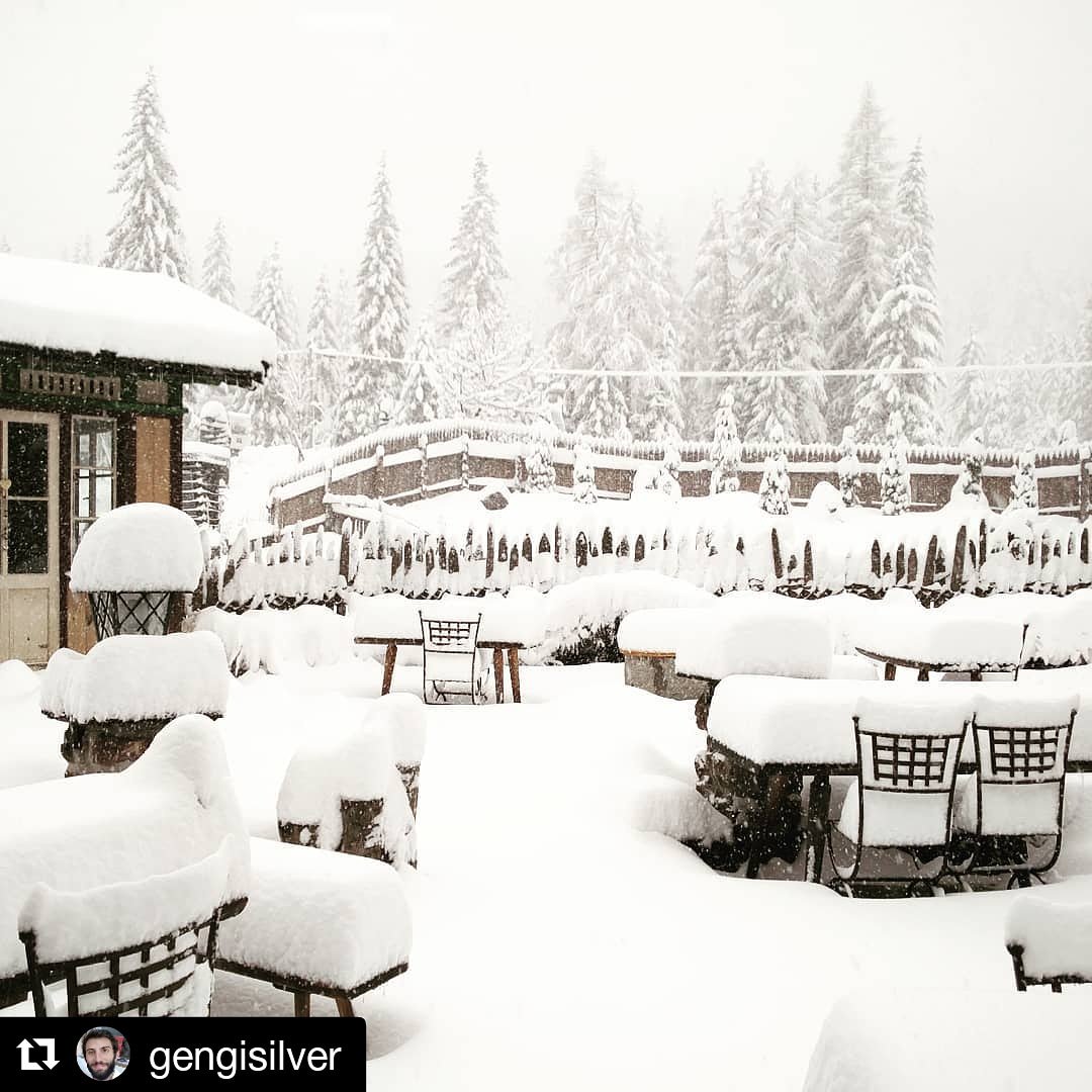 Meteonetwork Buongiorno Da Sesto Bz Circa 1300m Slm Bentornato Inverno Foto Di Gengisilver Repost Neve Snow Nevediprimavera Primavera 5maggio Altoadige T Co F5cxev6ett