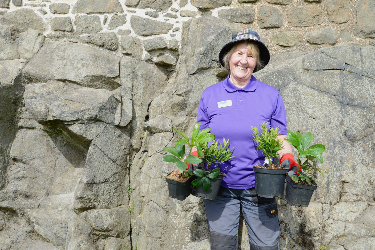 welovehistory's tweet photo. We're marking the end of #NationalGardeningWeek with a big thank you to the gardening teams and volunteers who make our sites look as good as they do! Here  @HistEnvScot volunteers busy in the garden at Blackness Castle, working with locally-sourced plants from @TheMillGC. https://t.co/iPuGH1lvVO