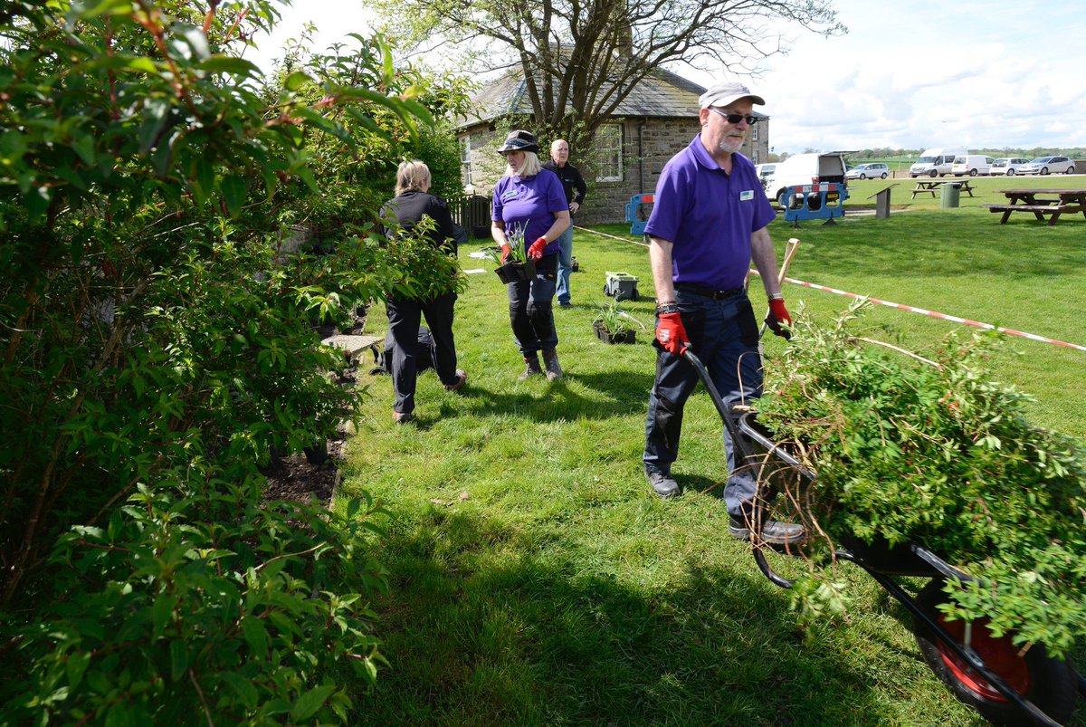 welovehistory's tweet photo. We're marking the end of #NationalGardeningWeek with a big thank you to the gardening teams and volunteers who make our sites look as good as they do! Here  @HistEnvScot volunteers busy in the garden at Blackness Castle, working with locally-sourced plants from @TheMillGC. https://t.co/iPuGH1lvVO