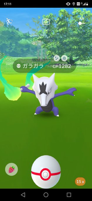 最低討伐人数 アローラガラガラ対策パーティ 色違い持ってる みんなのポケgo みんポケ
