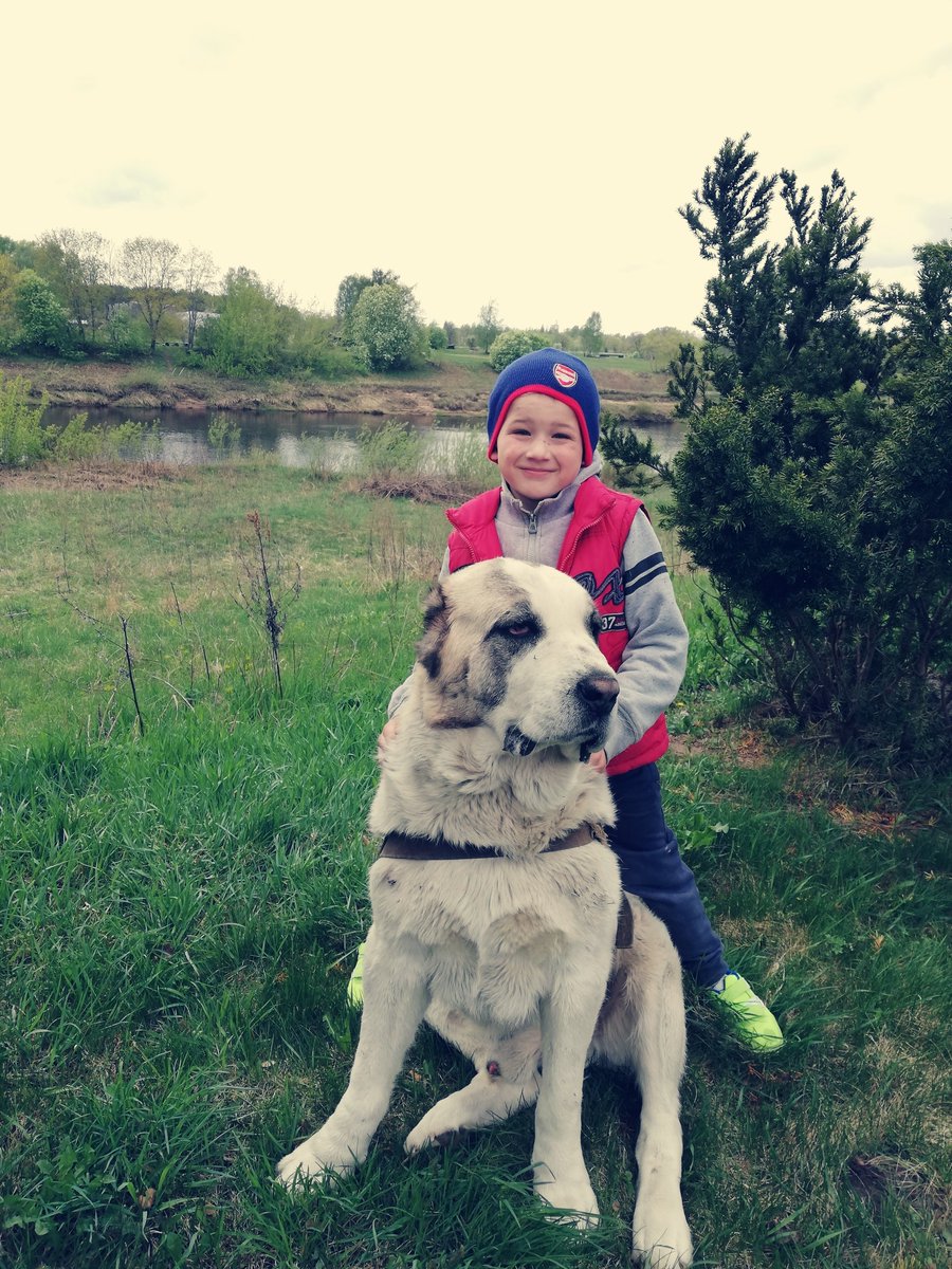 Ekaterina Belova (@ekateri96086149) on Twitter photo 
