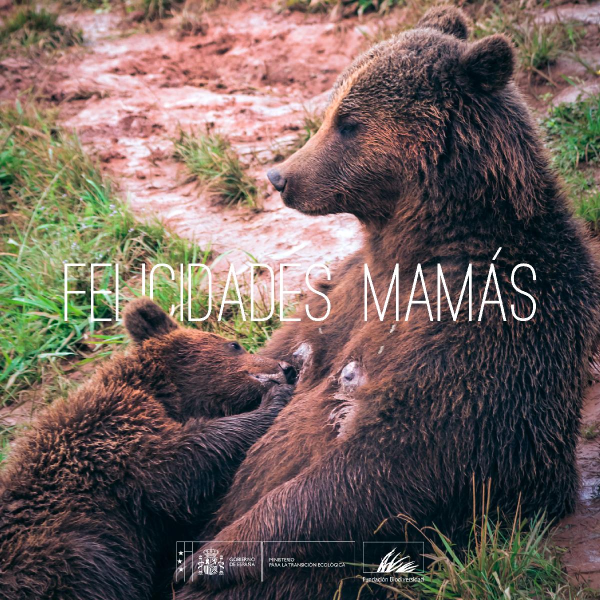 Una madre es una madre 😘
#FelizDiadeLaMadre