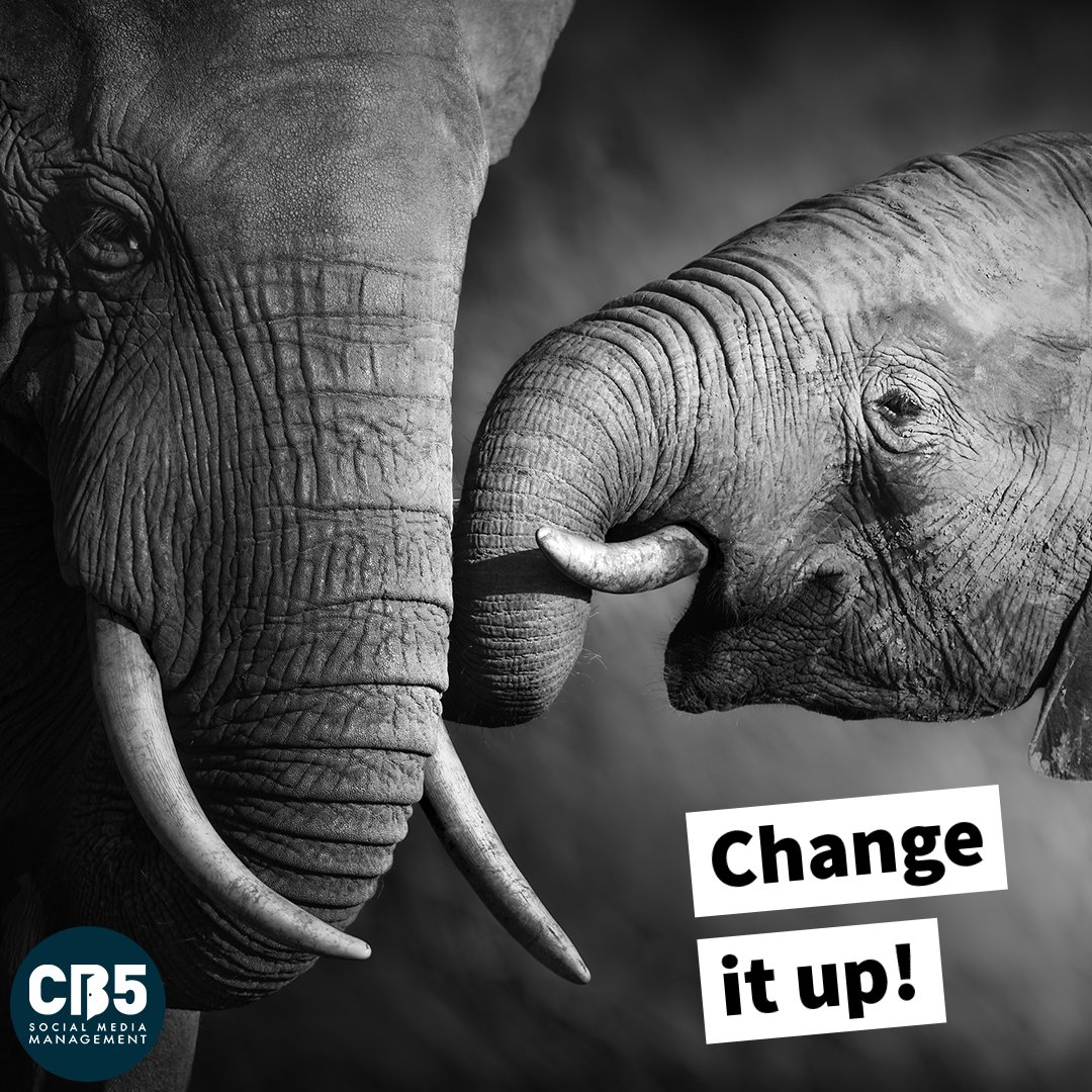 CB5SocialMedia's tweet photo. Don't be scared to drop colour from your social media posts! 

Change it up...

#CB5Management #socialmedia https://t.co/QNYvf3TelI