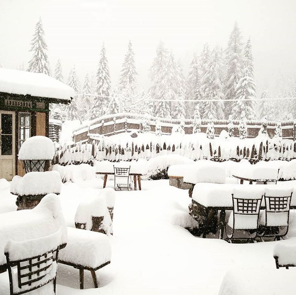 Altro che primavera: l'Alto Adige torna imbiancato

altoadige.it/foto/locale/al…