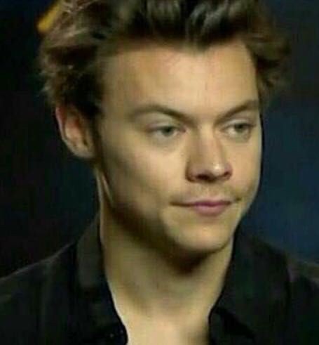 harryis_myqueen's tweet photo. James charles : so let's talk about your sexuality

Harry:                           Harries: https://t.co/qyN3OnNxRy